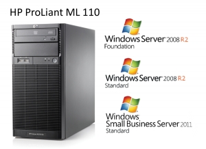 HP ProLiant ML110 G6 - der Preisbewusste